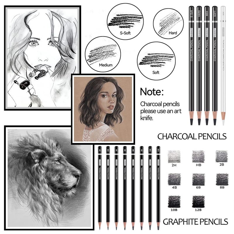 PANDAFLY Drawing Sketching Pencil Set, 22 Piece Pro Art Pencil Kit - Graphite Pencils (12B-2H), Black and White Charcoal Pencils, Charcoal Sticks, Stumps, Eraser, Sharpeners - Image 3