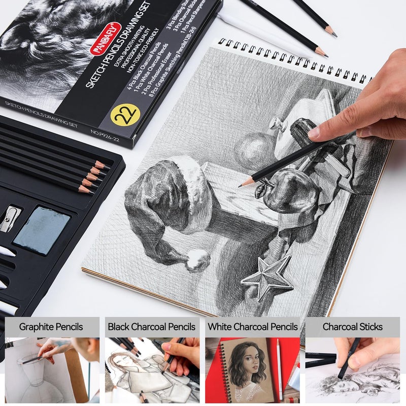 PANDAFLY Drawing Sketching Pencil Set, 22 Piece Pro Art Pencil Kit - Graphite Pencils (12B-2H), Black and White Charcoal Pencils, Charcoal Sticks, Stumps, Eraser, Sharpeners - Image 4