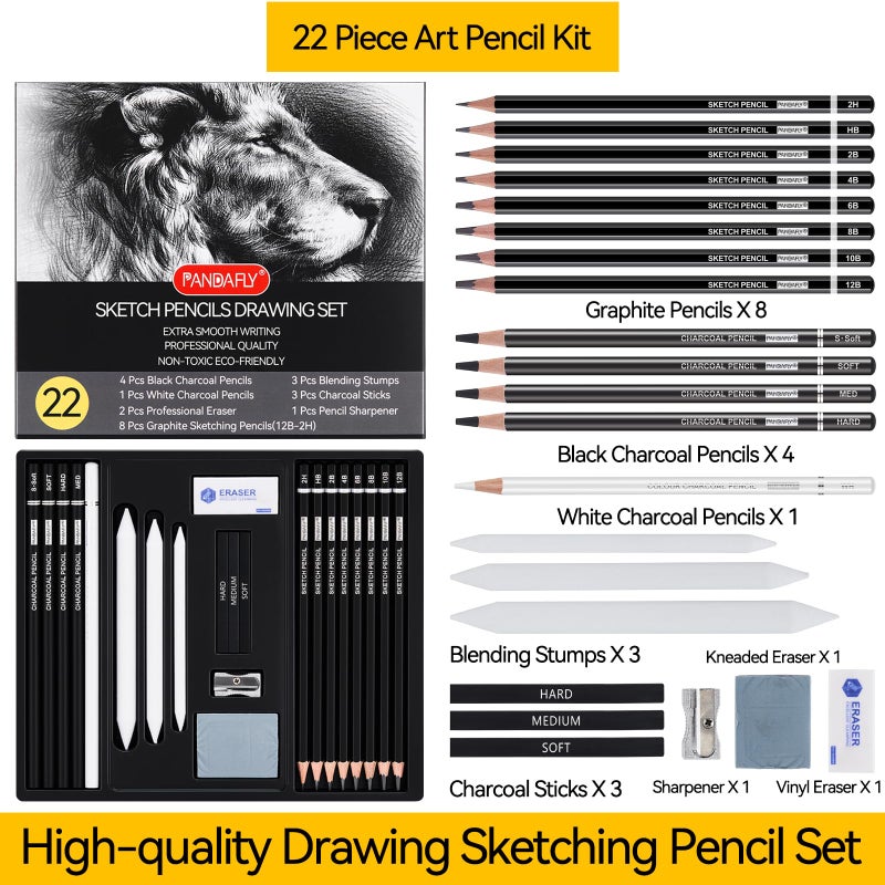 PANDAFLY Drawing Sketching Pencil Set, 22 Piece Pro Art Pencil Kit - Graphite Pencils (12B-2H), Black and White Charcoal Pencils, Charcoal Sticks, Stumps, Eraser, Sharpeners - Image 2
