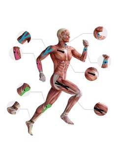 Spaceshoop Muscle Sticker Professional Athlete Adhesive Strain Injury Bandage Tape  - Image 4
