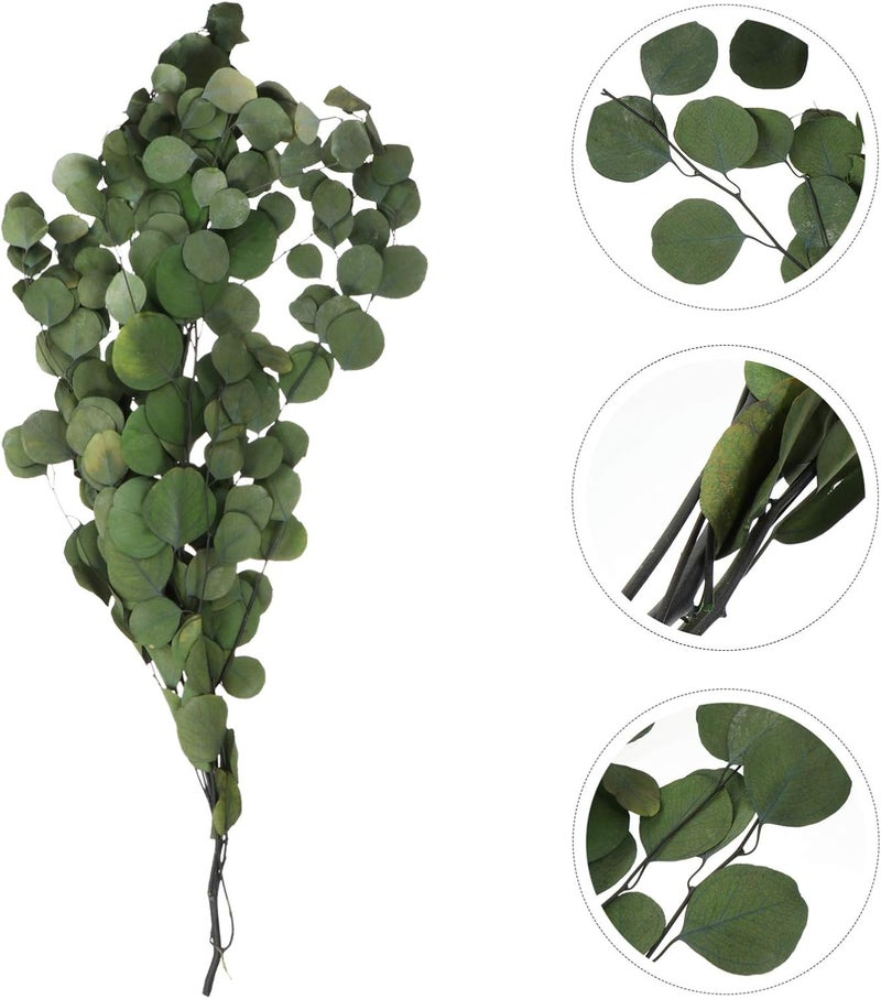 Dining Table Decor Eucalyptus Leaves Dried Flower Dollar Eucalyptus Stem Branches Bouquet Real Greenery for Arrangement Wedding Home Decor Green Wedding Decor - Image 2