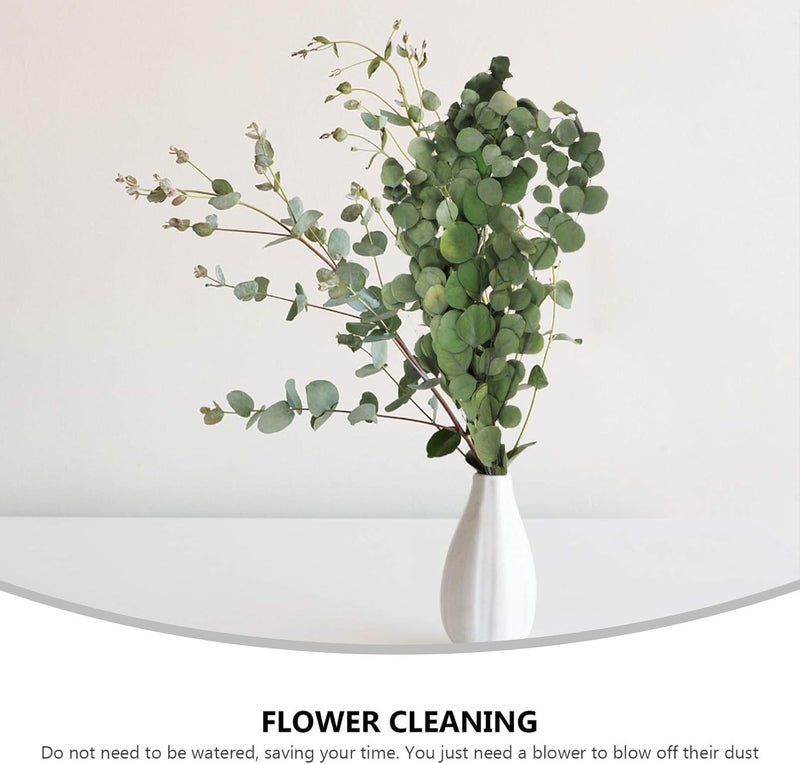 Dining Table Decor Eucalyptus Leaves Dried Flower Dollar Eucalyptus Stem Branches Bouquet Real Greenery for Arrangement Wedding Home Decor Green Wedding Decor - Image 3