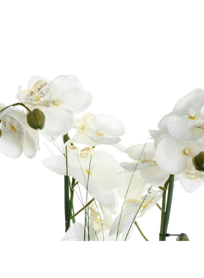 لوفت أوركيد، اناء للزهور، L38XP38XH53CMS، ابيض، بوليستر-136510B - Image 2