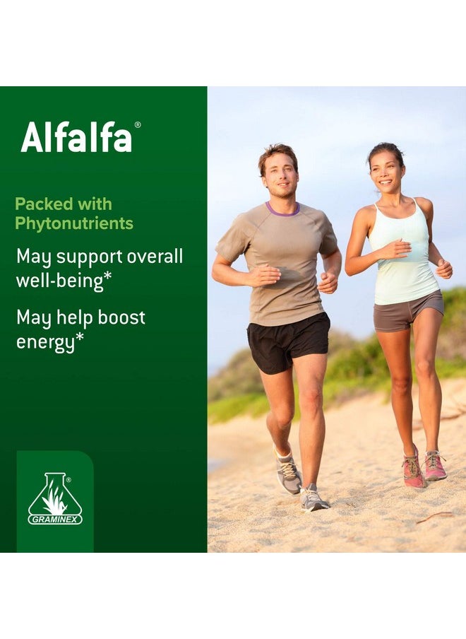 GRAMINEX - Alfalfa Tablets Non Gmo Green Superfood Supplement With Vitamins Minerals Amino Acids 240 Tablets - Image 1