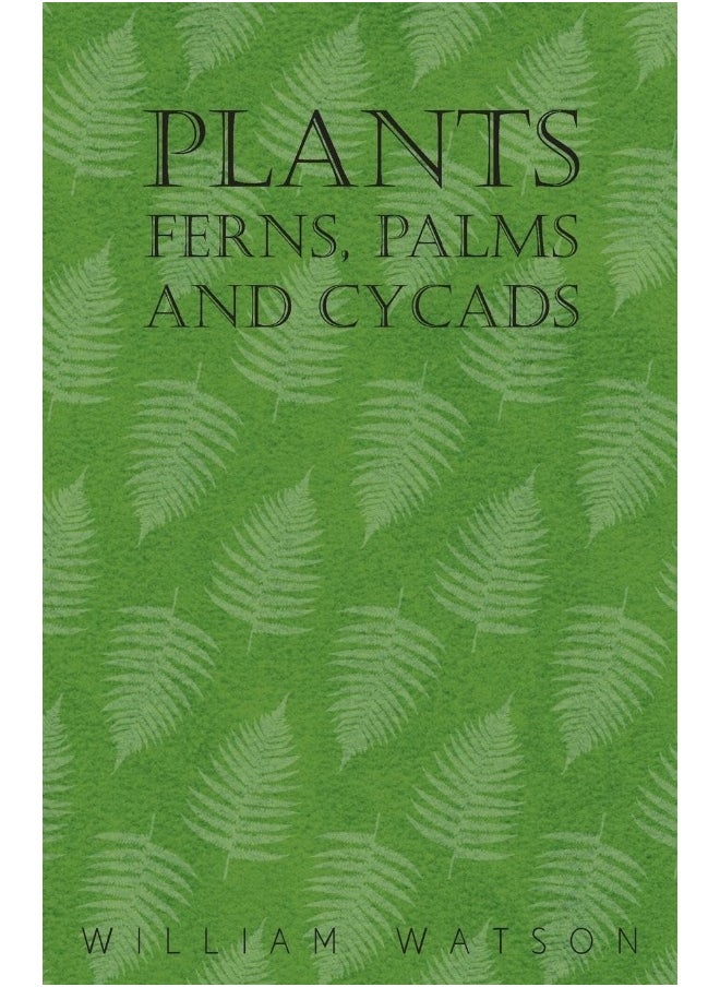 Plants - Ferns, Palms and Cycads 