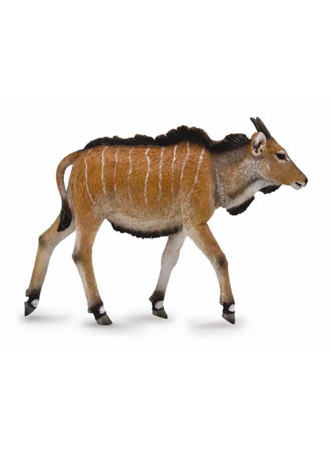 Collecta - Giant Eland Calf - 88768