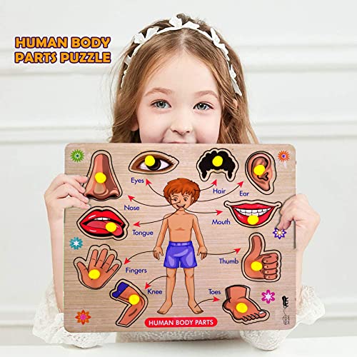 Lefan Body Part Puzzle Kids Wooden Toys for Kids 3 + Jigsaw Puzzles for Adults Baby Learning Toys Educational Toys for 2 Board Game - Image 4