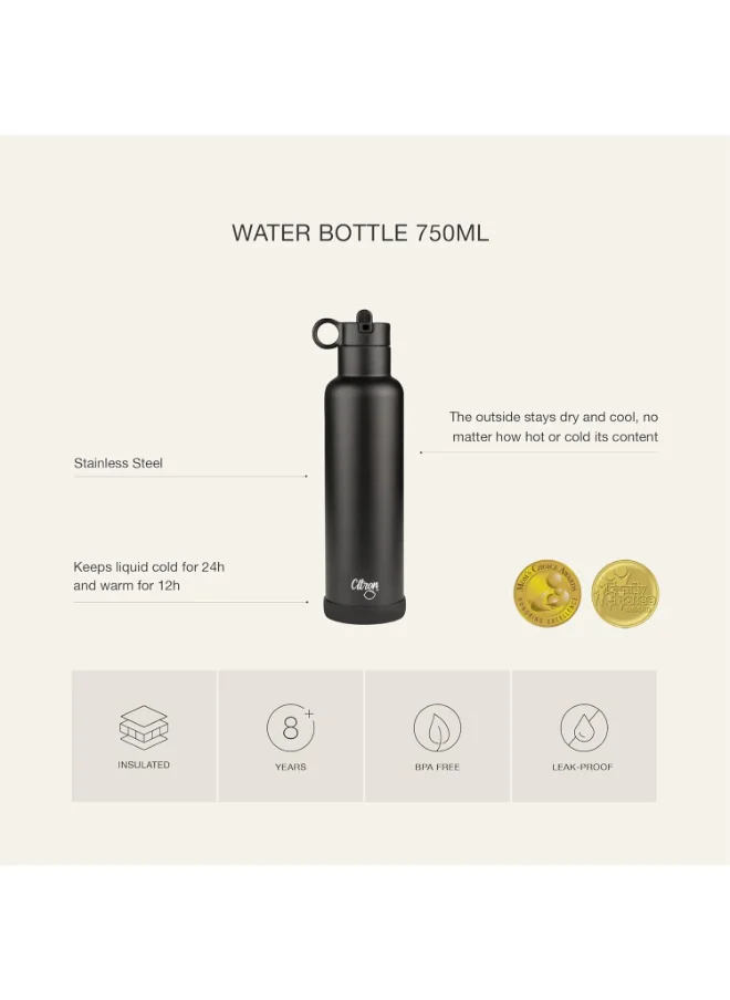 Citron Vacuum Insulated Stainless Steel Water Bottle 750 Ml - Purple