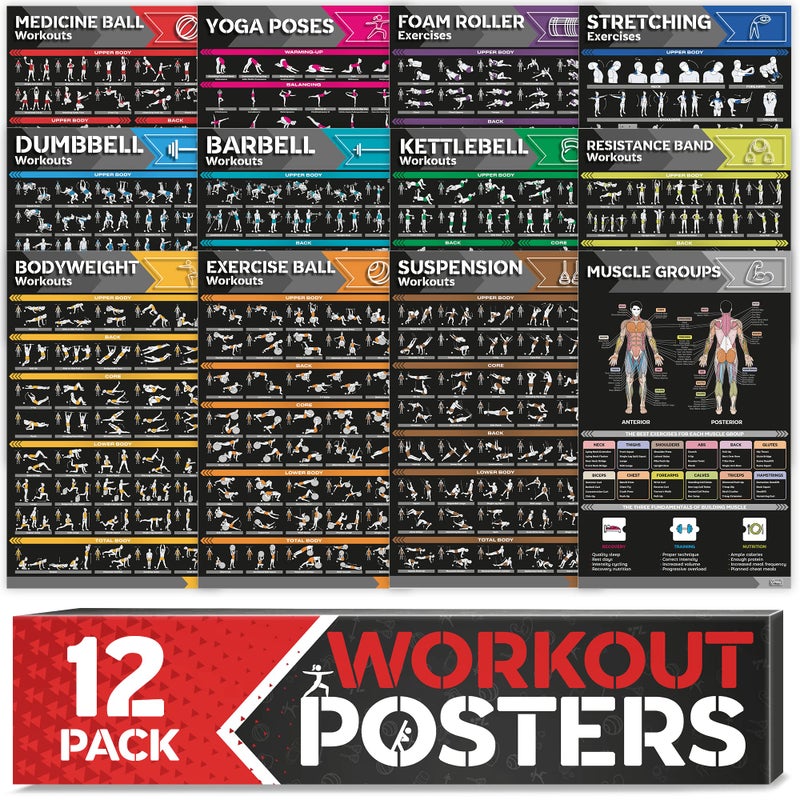 GRAND BASICS [12-PACK] Laminated Large Workout Poster Set - Perfect Workout Posters for Home Gym - Exercise Charts Incl. Dumbbell, Yoga Poses, Resistance Band, Kettlebell, Stretching & More Fitness Gym Posters - Image 1