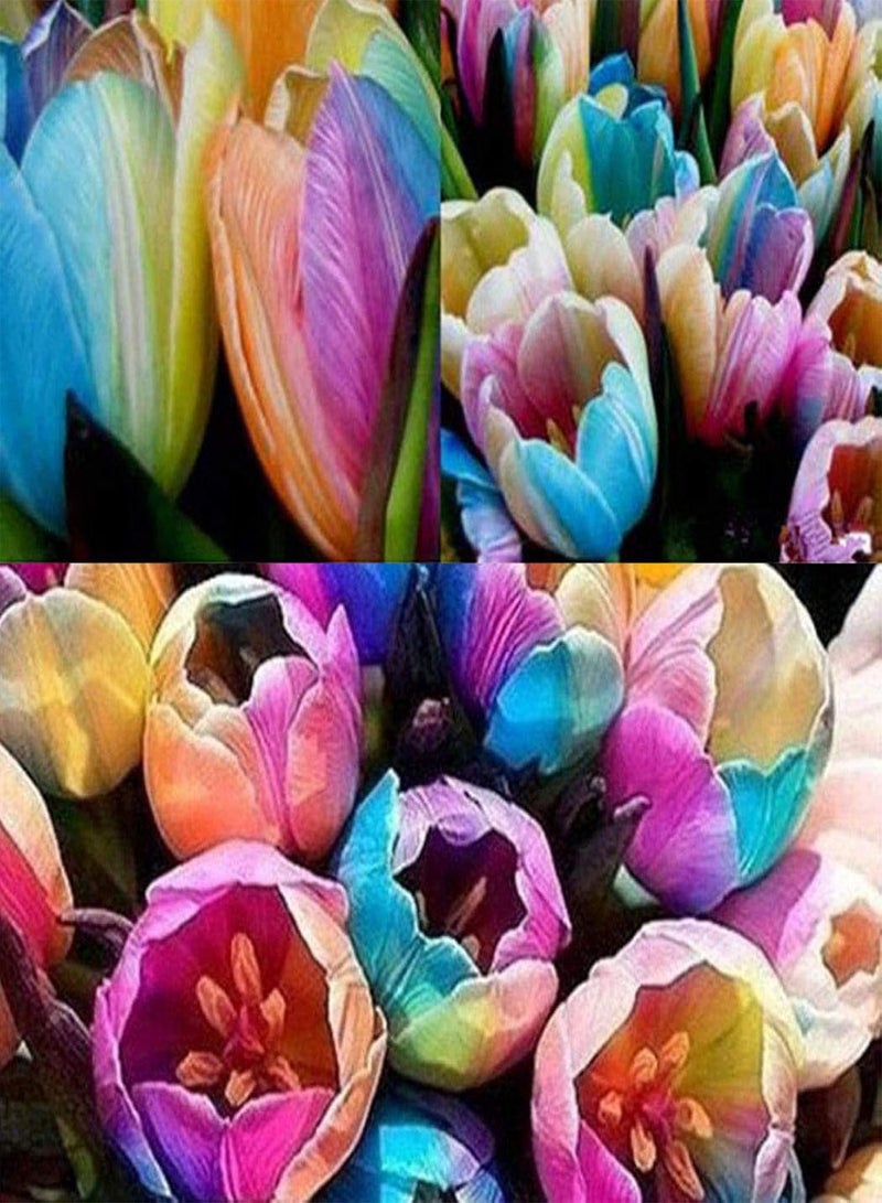 جي جوت 100 قطعة من بذور توليب للزراعة، حديقة شرفة بونساي في الهواء الطلق زهرة عطرية نبات معمر سهل الزراعة، البستنة، ديكور المنزل - بذور توليب - Image 3