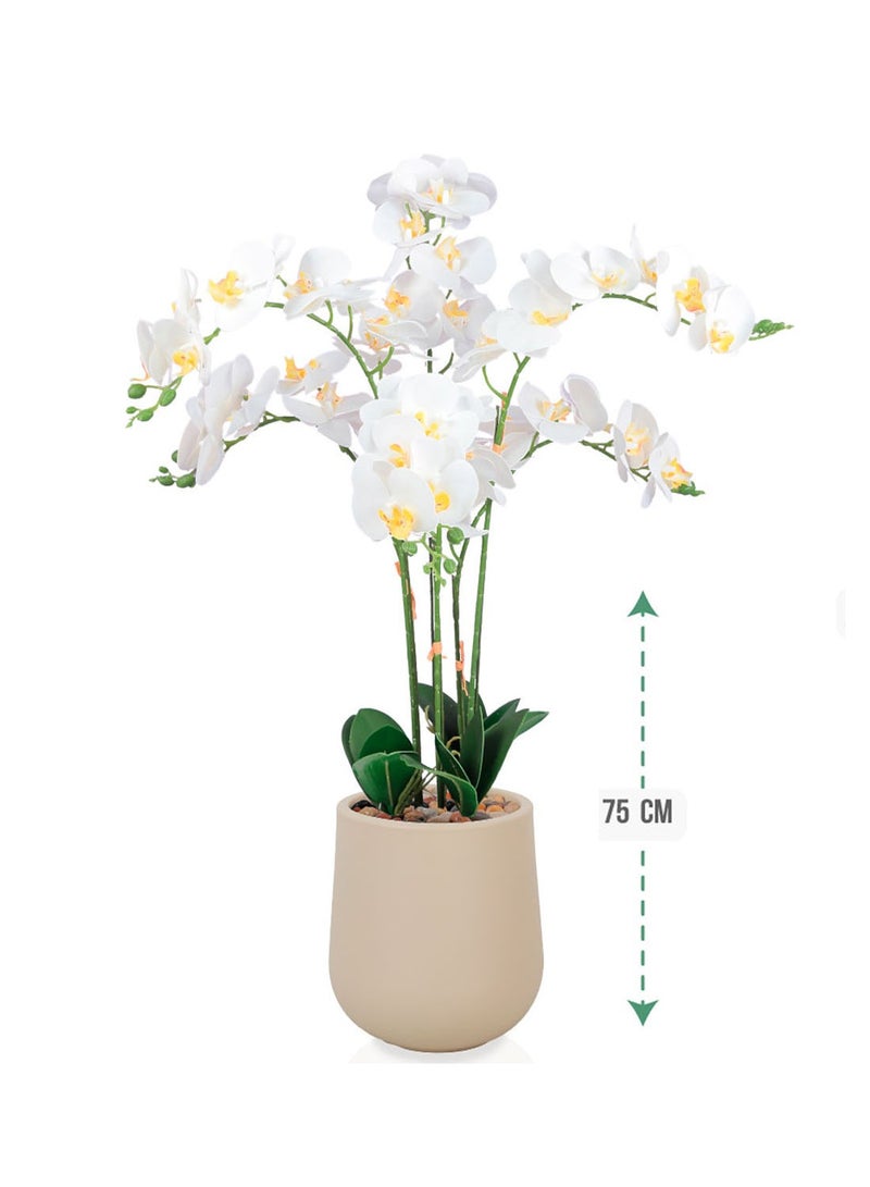 سي او أرماء شجرة أوراكيد بحوض بلاستيك 75 سم