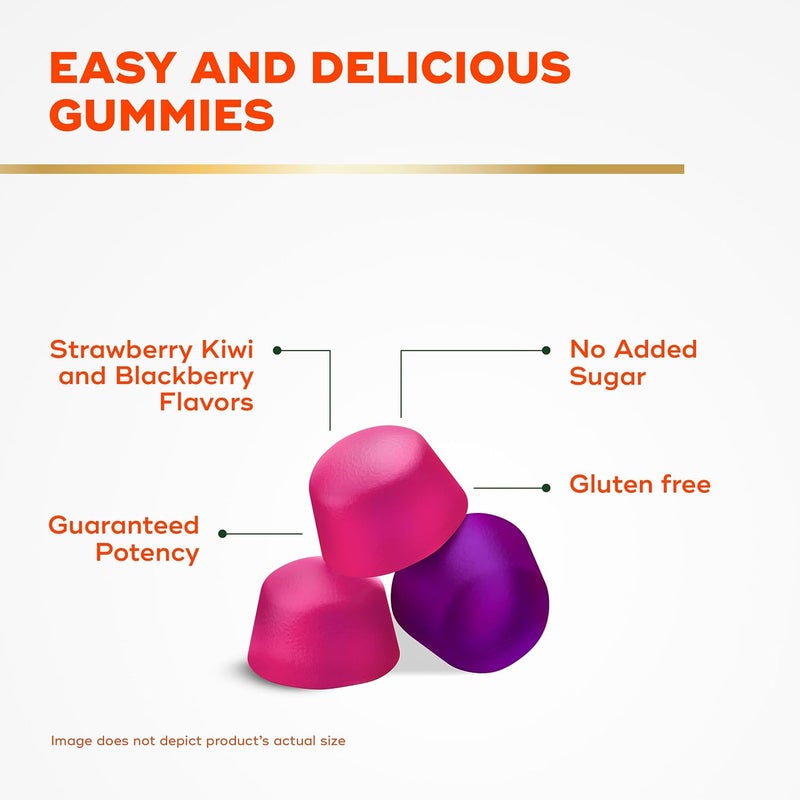 Align أليغن بروبيوتيك بروبيوتيك ألياف بروبيوتيك تساعد في تخفيف الانتفاخ العرضي ألياف تساعد في دعم نظام هضمي صحي 1 علامة بروبيوتيك موصى بها من قبل الأطباء 90 حبة جيلاتينية - Image 5