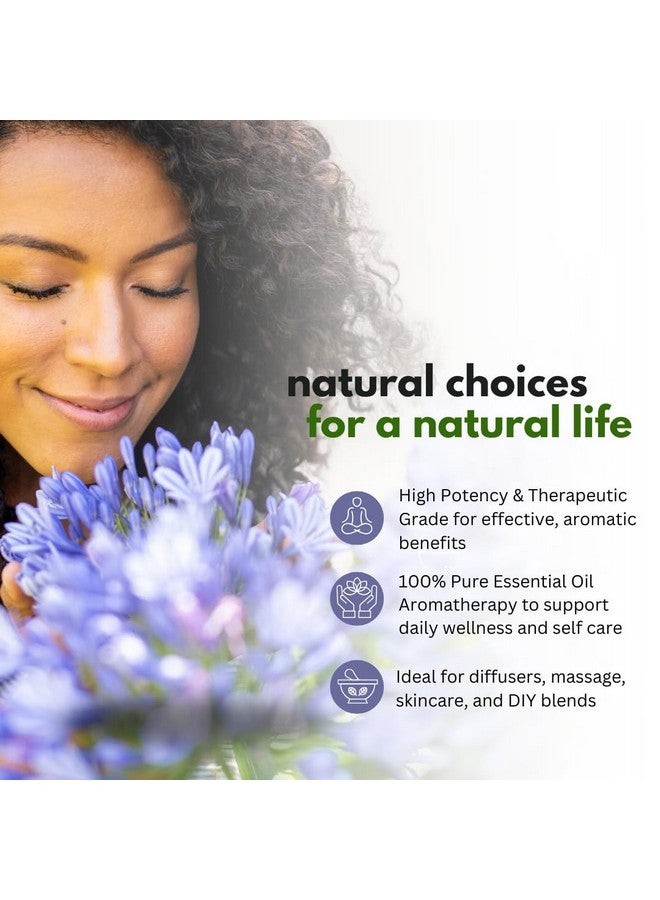 Best of Nature Oregano Essential Oil for Diffuser Aromatherapy - Best of Nature 100% Pure Undiluted Oils for DIY, Home Fragrance, and Topical Use - Image 3