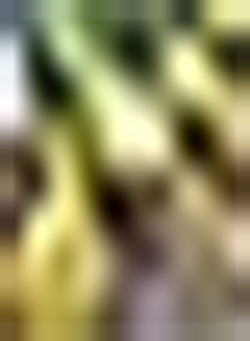 GGOOT 100pcs Pitaya Seeds Dragon Fruit Indoor Outdoor Planting Unique Shape Appearance Pleasing to The Eye Easy Care Essential Fruit in The Kitchen - Image 2