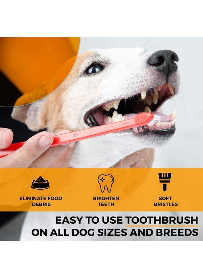 Double Headed Dental Cleaning Toothbrush For Dogs Cats Puppy -Set Of 2 - Image 3