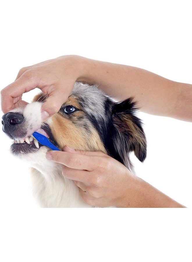 Double Headed Dental Cleaning Toothbrush For Dogs Cats Puppy -Set Of 2 - Image 4