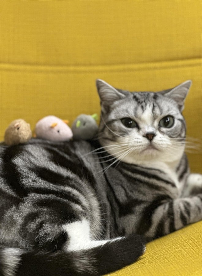 Durable Chew-Resistant Realistic Plush Mice Cat Teething Toys, Long-Lasting Interactive Kitten Toys - Image 5