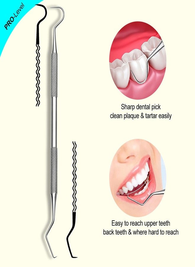 G.CATACC Dental Tool, Metal Dental Pick, Stainless Steel Tooth Scraper Plaque Tartar Remover for Teeth Cleaning Oral Care Hygiene Kit for Home Use - with Case - Image 2
