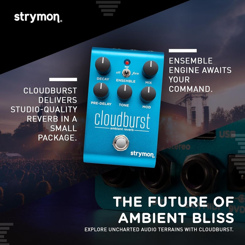 Strymon Cloudburst Ambient Reverb Pedal - Image 5