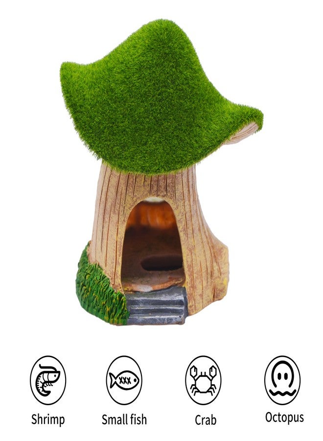 AnRui Green Moss Mushroom Aquarium Decor Cute Fish Tank Decorationss Resin Aquarium Decor Hideout Cave Ornament for Small Fish, Hermit Crab, Shrimp, Goldfish and Reptiles - Image 5