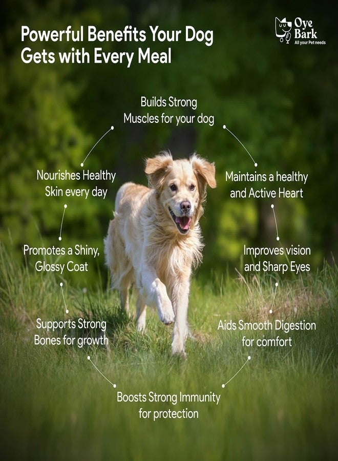 بارك بايت بريميوم دجاج جاف للكلاب 2 كجم + 2 كجم (اشترِ واحدًا واحصل على الثاني مجانًا) - طعام غني بالبروتين والعناصر الغذائية للكلاب البالغة والجراء | وجبة صحية ولذيذة وسهلة الهضم مع دجاج حقيقي لجميع السلالات - Image 4
