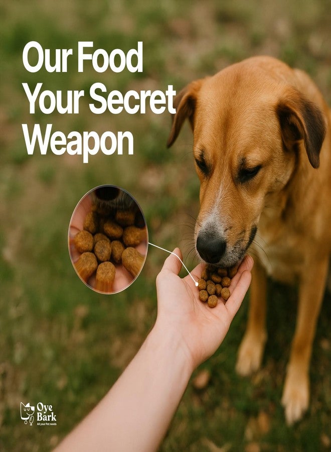 بارك بايت بريميوم دجاج جاف للكلاب 2 كجم + 2 كجم (اشترِ واحدًا واحصل على الثاني مجانًا) - طعام غني بالبروتين والعناصر الغذائية للكلاب البالغة والجراء | وجبة صحية ولذيذة وسهلة الهضم مع دجاج حقيقي لجميع السلالات - Image 3