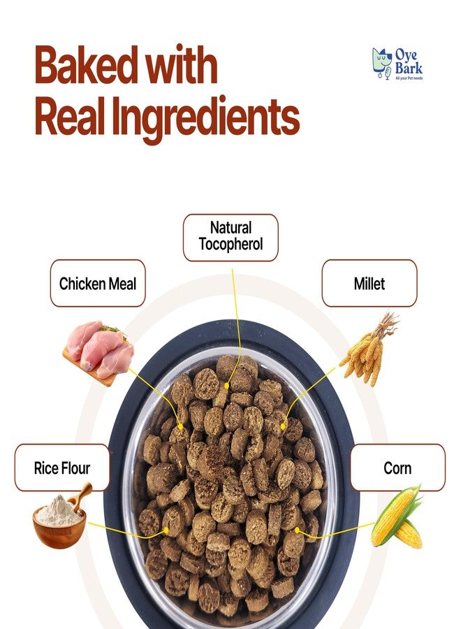 بارك بايت بريميوم دجاج جاف للكلاب 2 كجم + 2 كجم (اشترِ واحدًا واحصل على الثاني مجانًا) - طعام غني بالبروتين والعناصر الغذائية للكلاب البالغة والجراء | وجبة صحية ولذيذة وسهلة الهضم مع دجاج حقيقي لجميع السلالات - Image 2