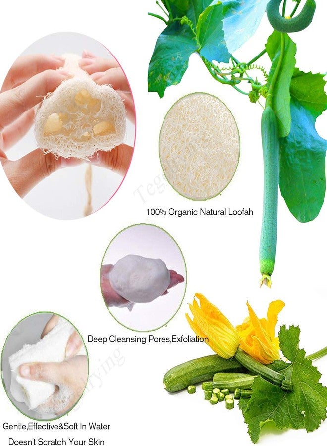 Tegelrying Loofah Sponge Exfoliating,6 Packs Natural Loofa Large Back Scrubber for Men Women Bath Shower Body Skin Care Cleansing Luffa 5 inches Long - Image 4