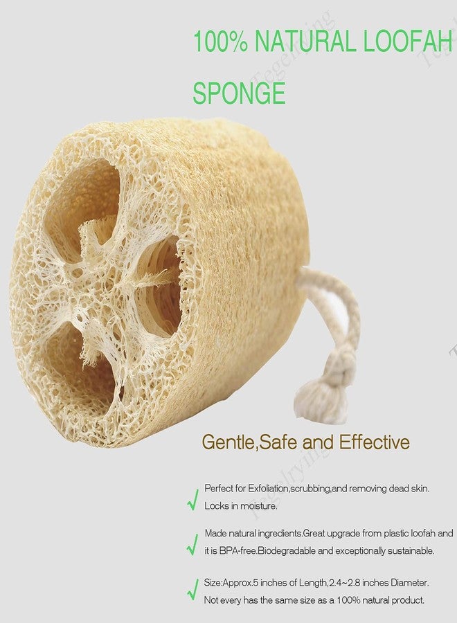 Tegelrying Loofah Sponge Exfoliating,6 Packs Natural Loofa Large Back Scrubber for Men Women Bath Shower Body Skin Care Cleansing Luffa 5 inches Long - Image 2