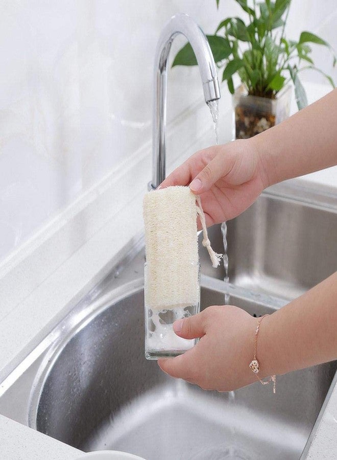 Tegelrying Loofah Sponge Exfoliating,6 Packs Natural Loofa Large Back Scrubber for Men Women Bath Shower Body Skin Care Cleansing Luffa 5 inches Long - Image 3
