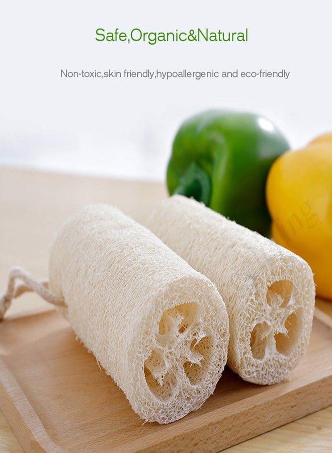 Tegelrying Loofah Sponge Exfoliating,6 Packs Natural Loofa Large Back Scrubber for Men Women Bath Shower Body Skin Care Cleansing Luffa 5 inches Long - Image 5