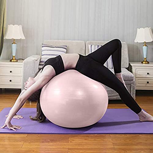 DASNDAS PVC Jumping Hopping Ball, Hopper Ball with Handle, Bouncy Hopping Ball with Christmas Pattern for Kids, Hippity Hop for Fun and Exercise with Pump(Color May Very) - Image 4