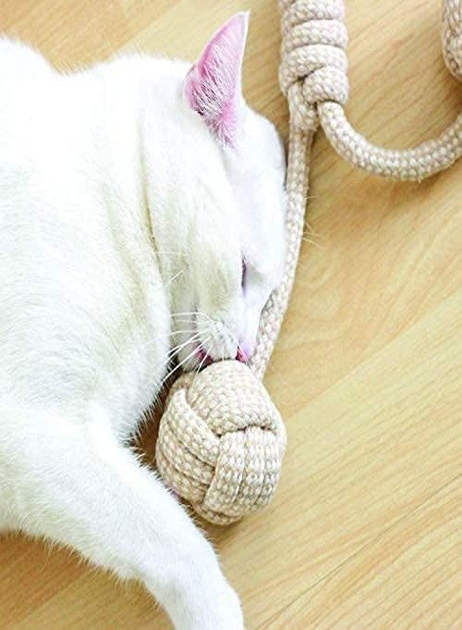 Pups&Pets ألعاب مضغ للكلاب من Pups&Pets، لعبة حبل قطني مضفر غير قابلة للتلف، مثالية للجراء في مرحلة التسنين أو الكلاب الكبيرة العدوانية التي تمضغ بقوة، لعبة جلب الكرة، طولها 20 بوصة شديدة التحمل - Image 2