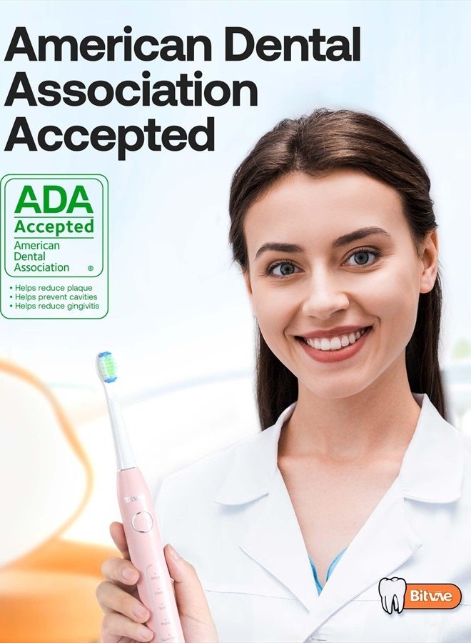 Bitvae Ultrasonic Electric Toothbrush - Rechargeable Sonic Electric Toothbrush for Adults and Kids, Power Toothbrush with Holder, 8 Brush Heads, Smart Timer, Fast Charge, Pink D2 - Image 2