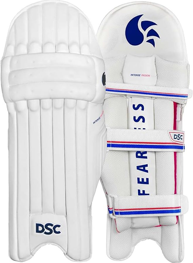 DSC Intense Passion Leather Cricket Batting Legguard  - Image 1