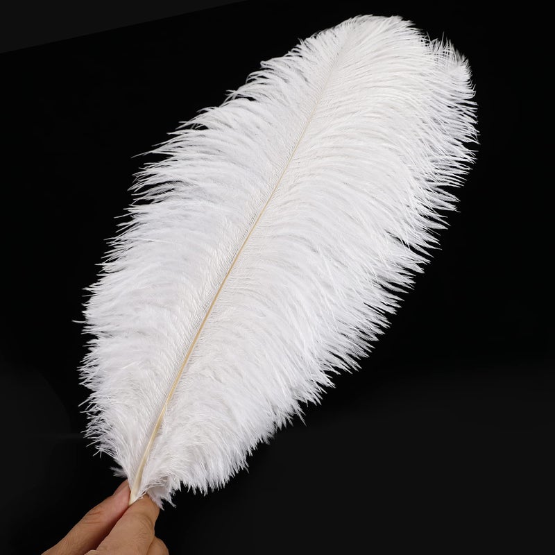 Soarer White Ostrich Feathers Bulk - 30pcs 8-10 inches for Wedding Party Centerpieces, Home Decorations and DIY Crafts (White) - Image 3
