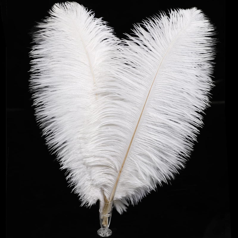 Soarer White Ostrich Feathers Bulk - 30pcs 8-10 inches for Wedding Party Centerpieces, Home Decorations and DIY Crafts (White) - Image 1