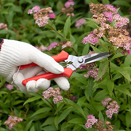 Sanung 910 2 PACK Garden Pruning Shears Multipurpose Flower Stems Branch Fruit Picking Shears Scissors Gardening Hand Pruners with Straight Steel Blades Safety Lock - Image 4