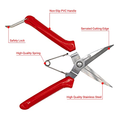 Sanung 910 2 PACK Garden Pruning Shears Multipurpose Flower Stems Branch Fruit Picking Shears Scissors Gardening Hand Pruners with Straight Steel Blades Safety Lock - Image 3