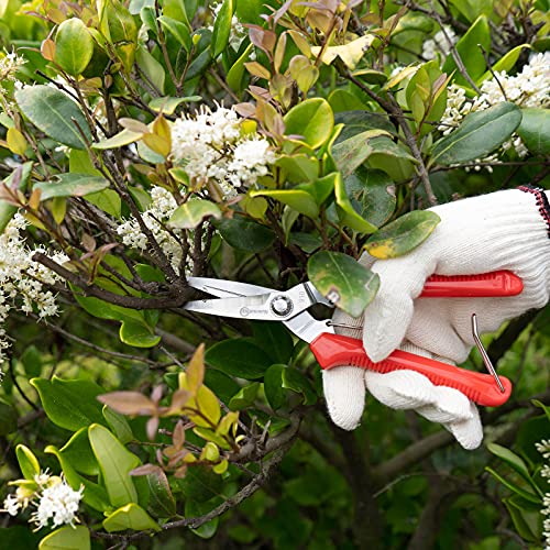 Sanung 910 2 PACK Garden Pruning Shears Multipurpose Flower Stems Branch Fruit Picking Shears Scissors Gardening Hand Pruners with Straight Steel Blades Safety Lock - Image 5