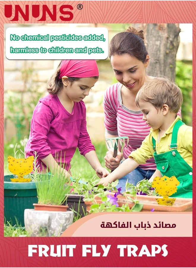44 حزمة من الفخاخ الصفراء اللزجة، مصائد ذباب فواكه البعوض من أجل صائد الحشرات في الداخل من أجل الذباب الأبيض والفطريات والبعوض والحشرات الطائرة البيضاء