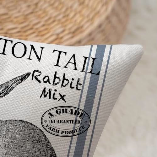 Faromily Vintage Farmhouse Bunny Throw Pillow Covers Retro Farm Rabbit Feed Home Décor Throw Pillow Case Cushion Cover 18" X 18" Set of 2 (Vintage Rabbit) - Image 4