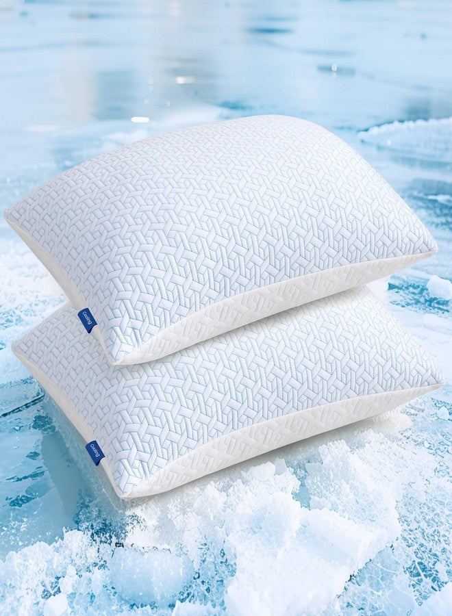 puredown® Queen Size Pillows Set of 2, Shredded Memory Foam Pillows, Cooling Queen Pillow 2 Pack, Adjustable Firm Bed Pillow for Sleeping, Side, Back and Stomach Sleepers - Image 1