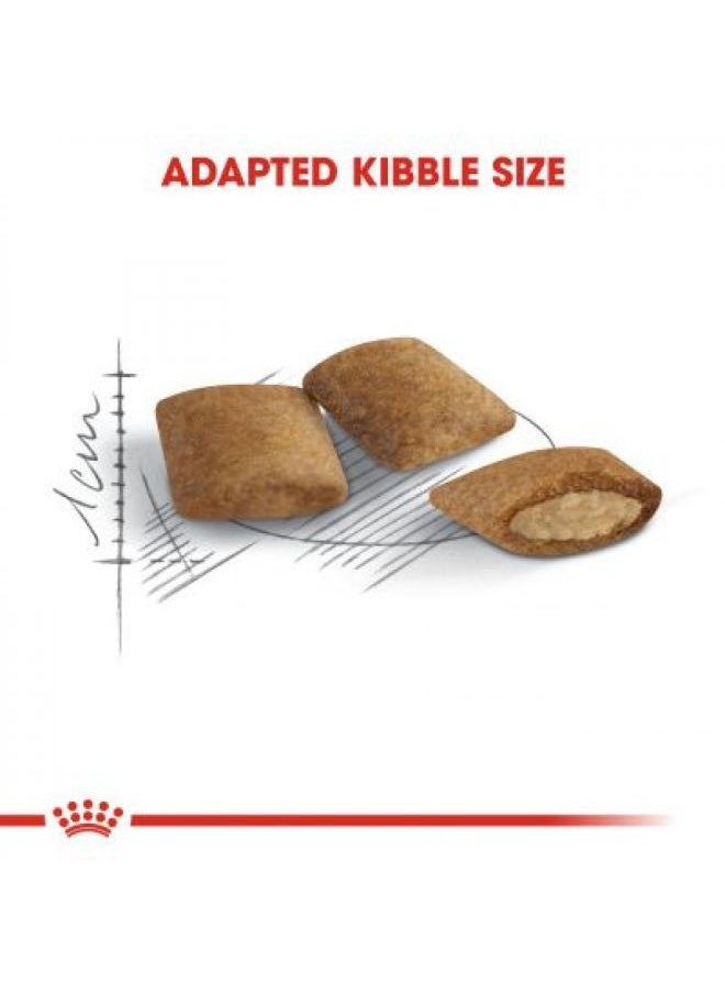 ROYAL CANIN - Royal Canin Ageing (12+) 2 Kg - Image 1