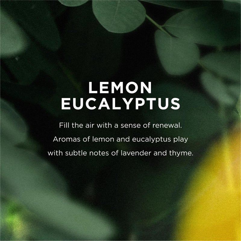 EO Liquid Hand Soap, 12 Ounce (Pack of 3), Lemon and Eucalyptus, Organic Plant-Based Gentle Cleanser with Pure Essential Oils - Image 3