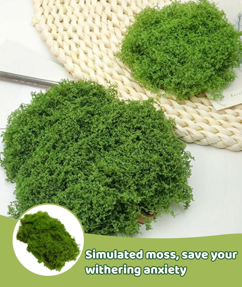 INIMAGINE 150g Artificial Moss for Decoration Moss Fake Moss Adorns Fake Grass Perfect for Home Or Office Renovations - Image 5