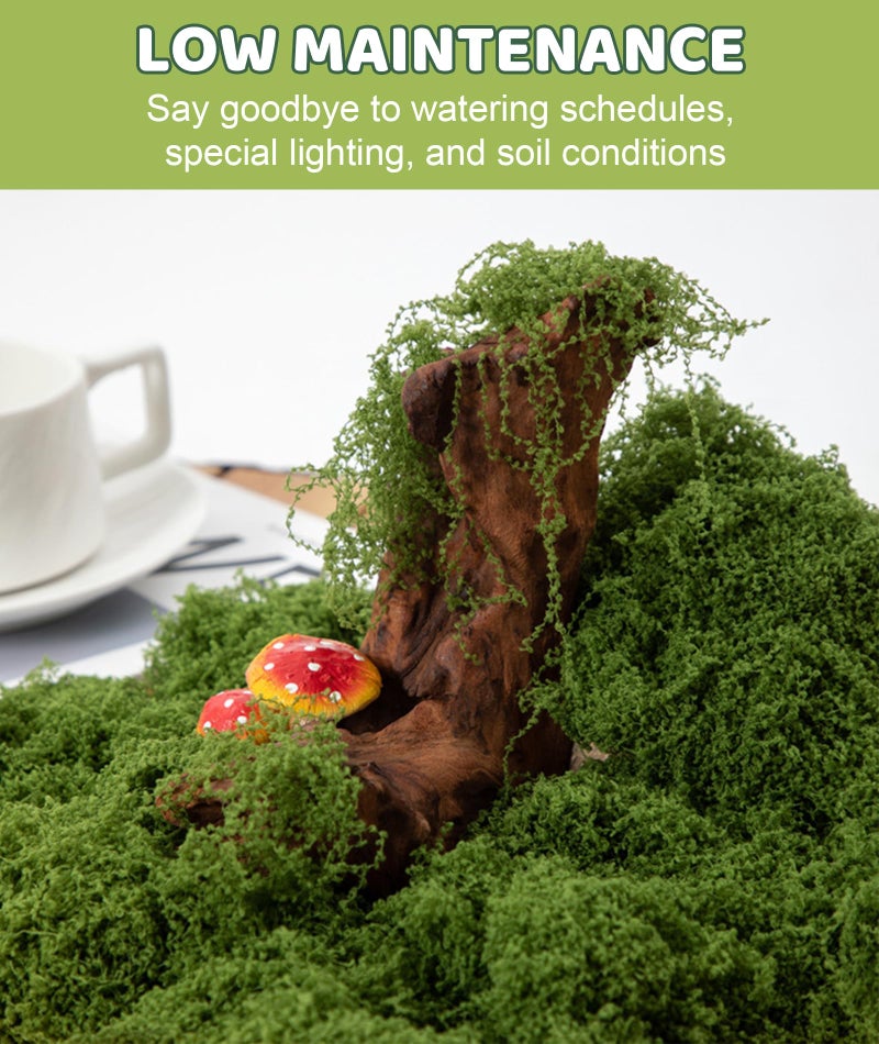 INIMAGINE 150g Artificial Moss for Decoration Moss Fake Moss Adorns Fake Grass Perfect for Home Or Office Renovations - Image 4