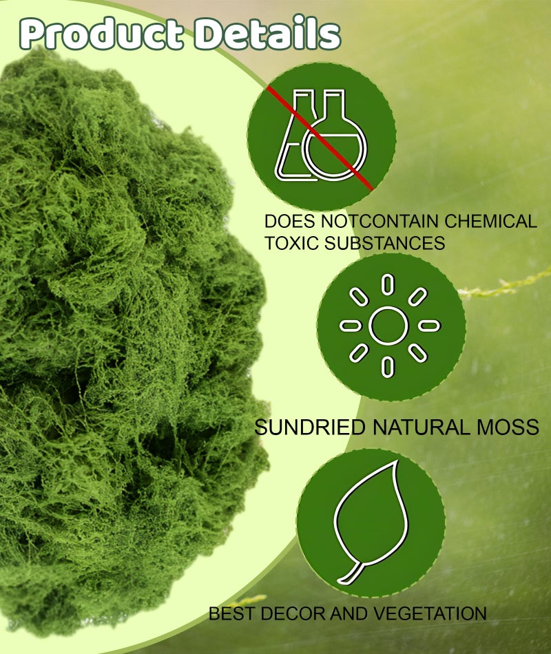 INIMAGINE 150g Artificial Moss for Decoration Moss Fake Moss Adorns Fake Grass Perfect for Home Or Office Renovations - Image 2