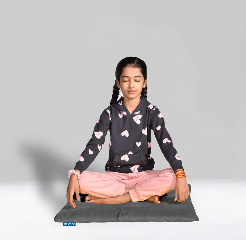 NEXTGO Floor Mat Puja Aasan 2Feet x 2Feet | Velvet Makhmal Fabric Microfiber Filling Floor Aasan for Dinner, Puja, Meditation, Garden, Yoga Mat for Home Office Ghar | Pack of 1 Elephant Grey - Image 5
