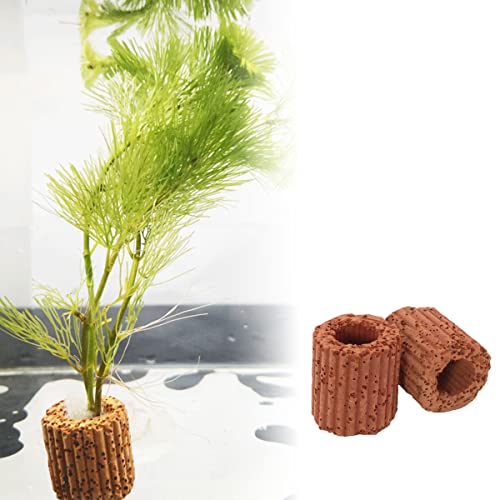 DGHAOP 10pcs Water Plants Cultivation Fixed Ring Base 25mm Aquatic Water Plant Fixed Ring for Aquarium Landscape Ceramic Plant Pot - Image 5